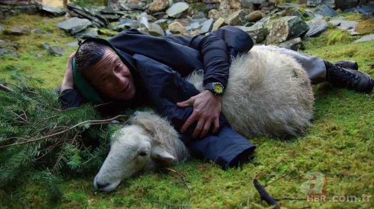 Bear Grylls herkesi böyle kandırmış! Tüm yalanları ortaya çıktı...