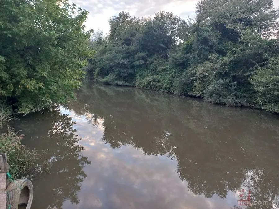 Cennet Riva ölüyor! 27 aydır Ekrem İmamoğlu'nun keyfini bekliyor 3