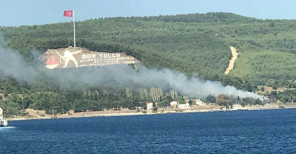 Çanakkale'de orman yangını