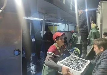 Balıkçılar limana kasalar dolusu hamsiyle döndü! Vatandaşlara ücretsiz dağıttılar