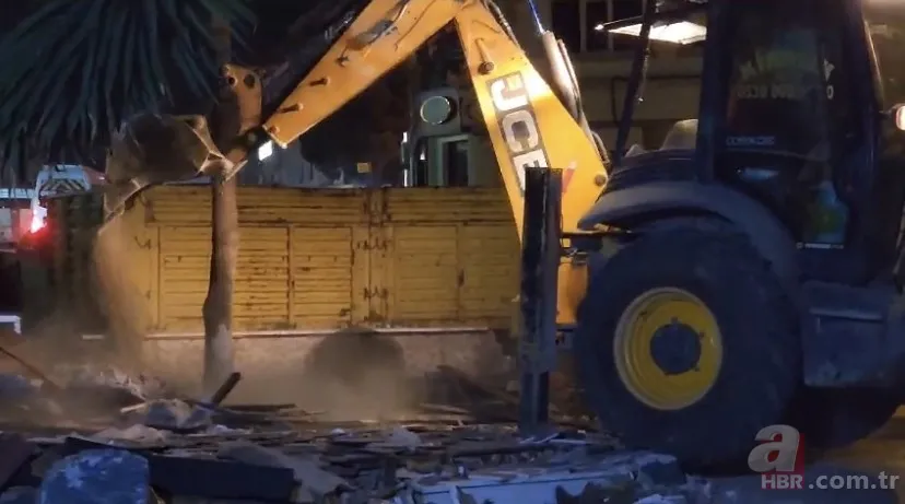 İBB’den ağaç katliamı! Maltepe Meydan Projesi için 17 çam ağacı kesildi 1