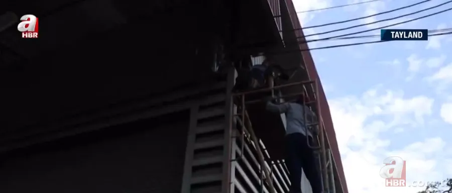 Fabrikada dev piton paniği! Yılan avcısı genç kadın... 7