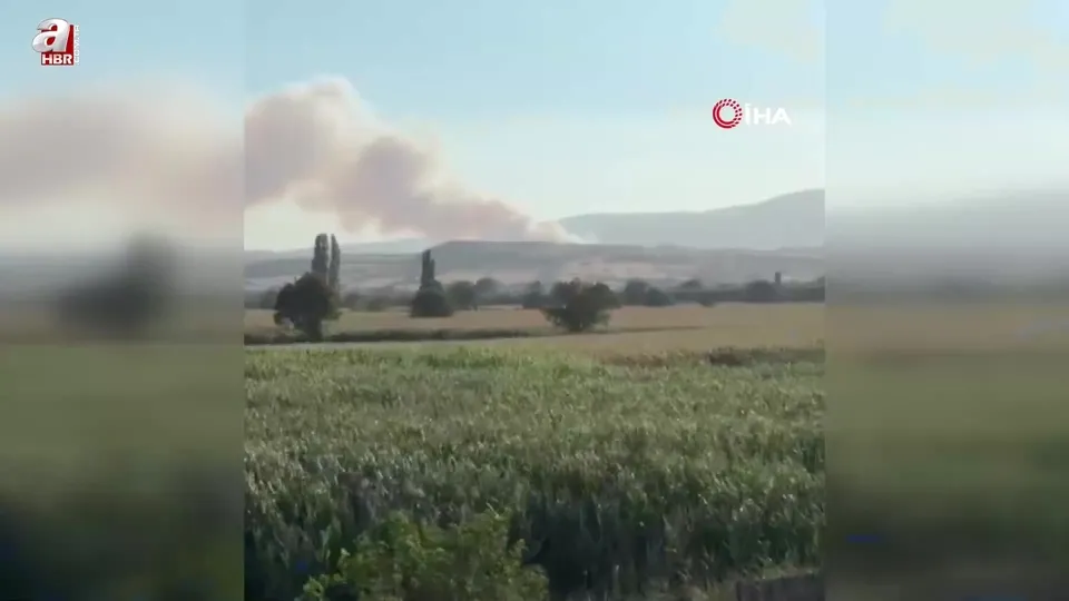 Susurluk’ta orman yangını başladı