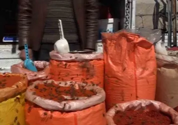 Erciş'te bal arıları baharatçıya akın etti