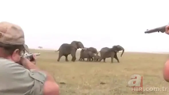 Fillerin intikamı acı oldu