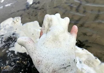 Eğirdir Gölü bir anda köpürdü!