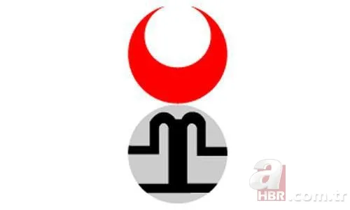 İşte Türklerin soyağacı! Hangi il hangi boydan geliyor? 13