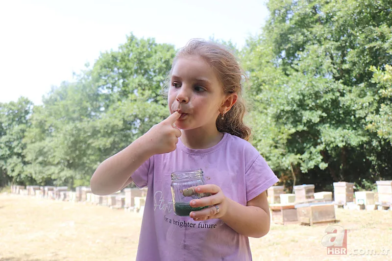 Kovandan çıkan bal görenleri şaşkına çevirdi! Kilosu 20 bin TL... 7