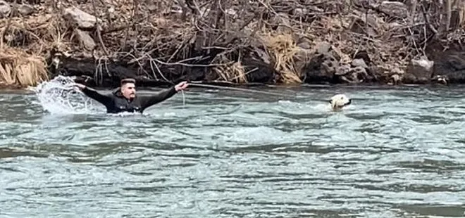 Tunceli’de köpeği kurtarmak için gözünü bile kırpmadan buz gibi suya atladı