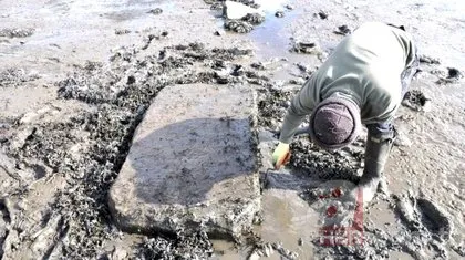 Bilim insanları bunu da yaptı! 300 yıllık iskelet...