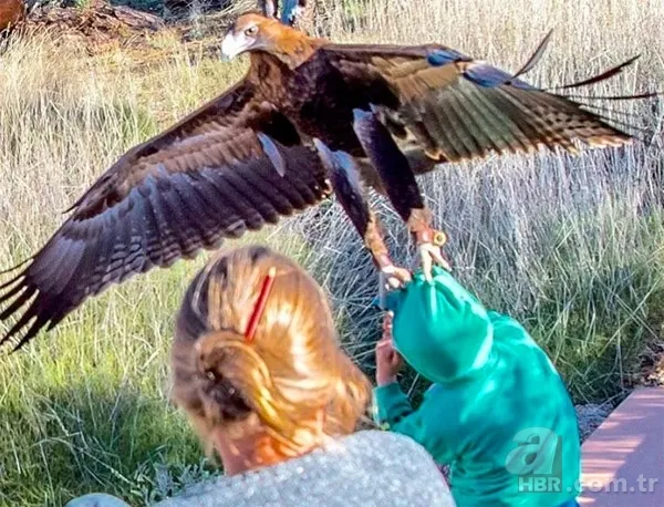 Bu anlar dehşete düşürdü: Kartal çocuğu av olarak gözüne kestirince... 3