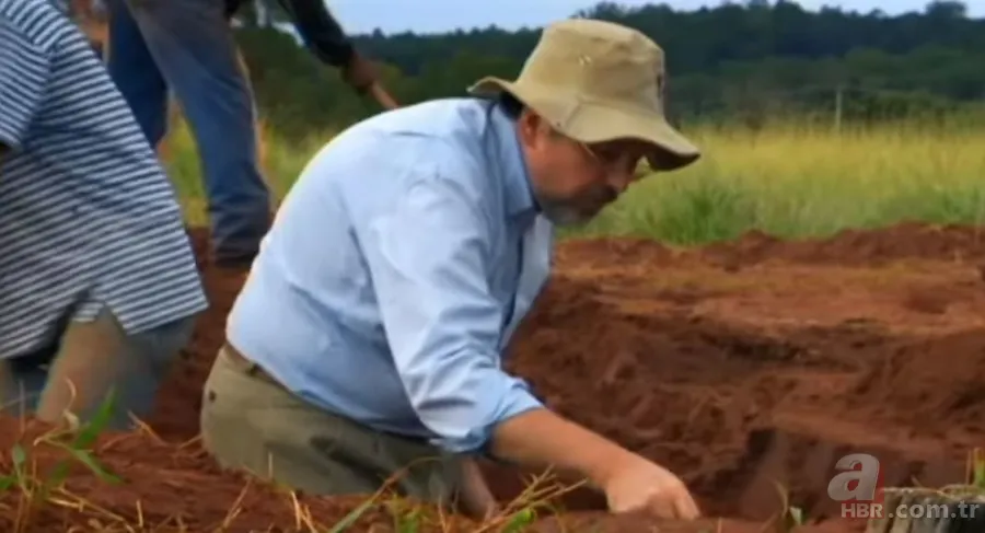 Karınca yuvasından sanat eseri çıktı 🐜 Vahşi doğanın usta mimarları! Otoban, yan yol ve patika bile yapmışlar 12