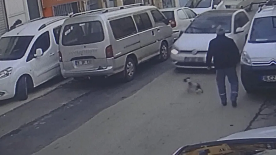 Bursa'da bir sürücü köpeği ezip kaçtı