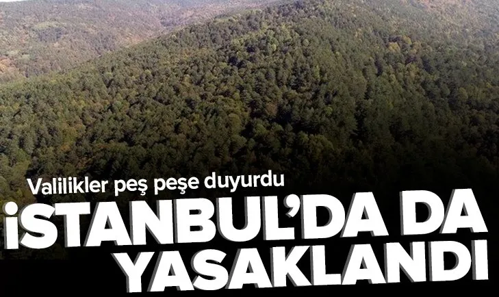 Valilikler peş peşe duyurdu! İstanbul, Balıkesir, Çanakkale, Gaziantep, İzmir, Aydın, Niğde, Kocaeli ve KKTC’de ormanlara girişler yasaklandı