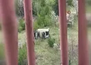 Müge Anlıda aranan Yusuf ölü bulundu