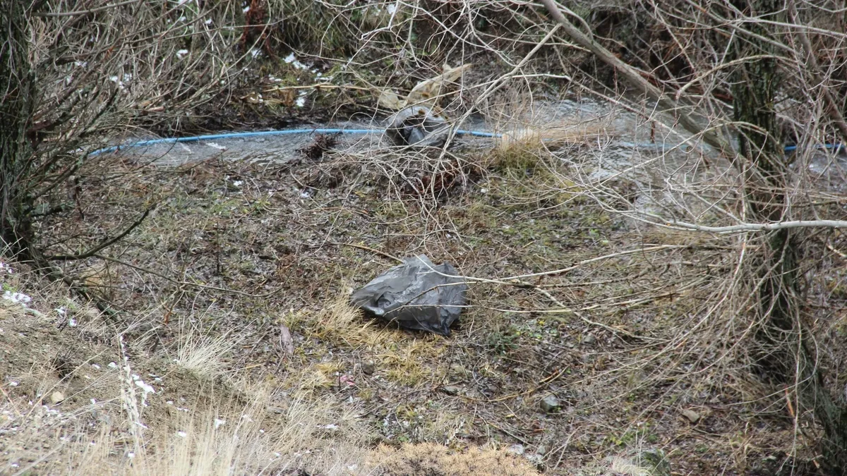 Çorum’da kan donduran vahşet! Dere kenarında parçalanmış ceset: Kayıp baş bulundu