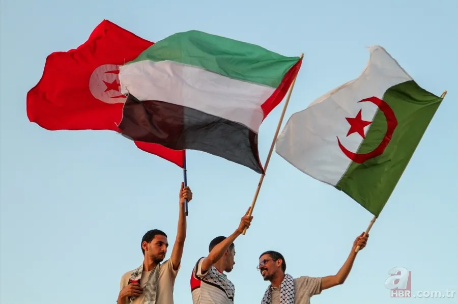 Vicdan konvoyu Gazze yolunda: 4 kıtadan soykırıma karşı akın 6