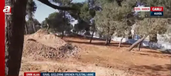 israil-musluman-mezarliklarini-yikti-saldiriya-diren-filistinli-anne-a-habere-konustu-1635251249354.jpg İsrail Müslüman mezarlıklarını yıktı! Saldırıya diren Filistinli anne A Haber’e konuştu - 5
