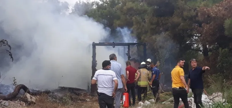 son dakika istanbul da yangin basibuyuk ormani ndan alevler yukseldi