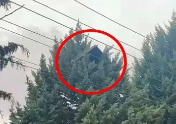 Çatıdan uçan güneş paneli ağacın üzerine düştü
