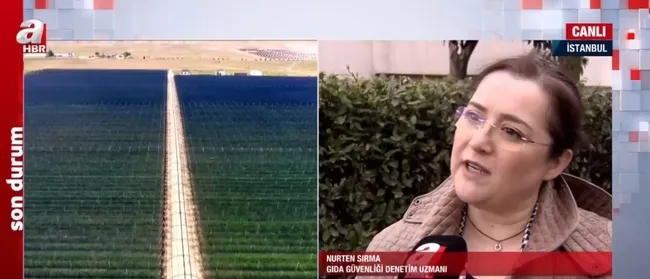 Buğday ve ayçiçek yağı fiyatında sert düşüş! Uluslararası piyasada fiyatlar daha da düşecek mi?