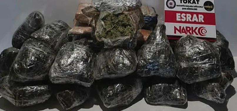 ludo stor gallery from 2021