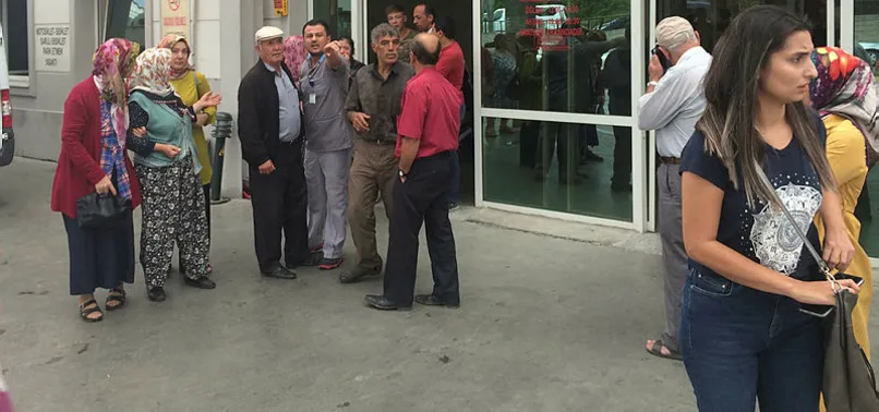 Aydın'da incir toplamaya gitmişti! Feci ölüm...