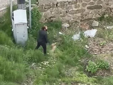 yavru-kediyi-tekmeleyip-oldurdu-savunmasi-pes-dedirtti-yer-trabzon-1716622998078.jpeg Yavru kediyi tekmeleyip öldürdü savunması "pes" dedirtti! Yer: Trabzon - 1