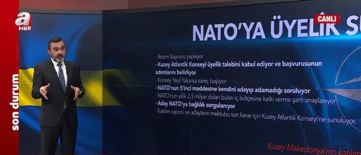 NATO’ya üyelik süreci nasıl işliyor? Türkiye veto ederse ne olur?