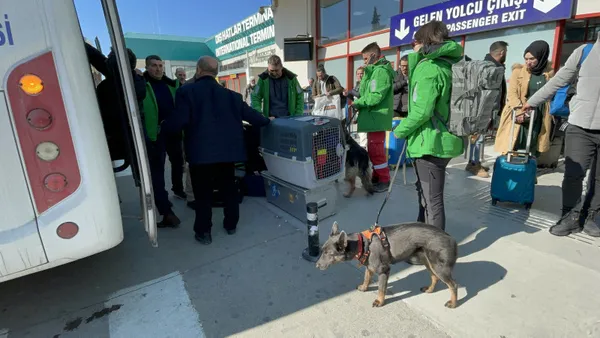 En doğru verileri onlar veriyor! Hayat kurtaran köpekler: Canlı ile cansız arasındaki koku farkını ayırt edebiliyorlar