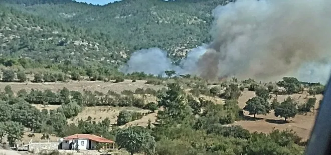 Son dakika: İzmir’de orman yangını! Müdahale başladı