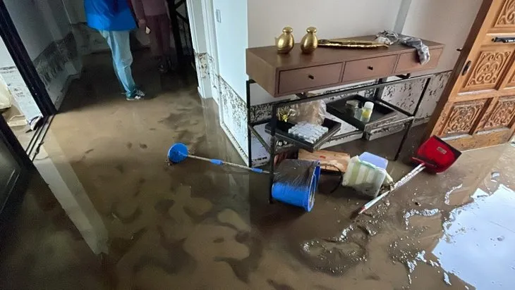 Bodrum’da sel felaketi! Sokak hayvanları boğuldu! Çok sayıda evleri su bastı...
