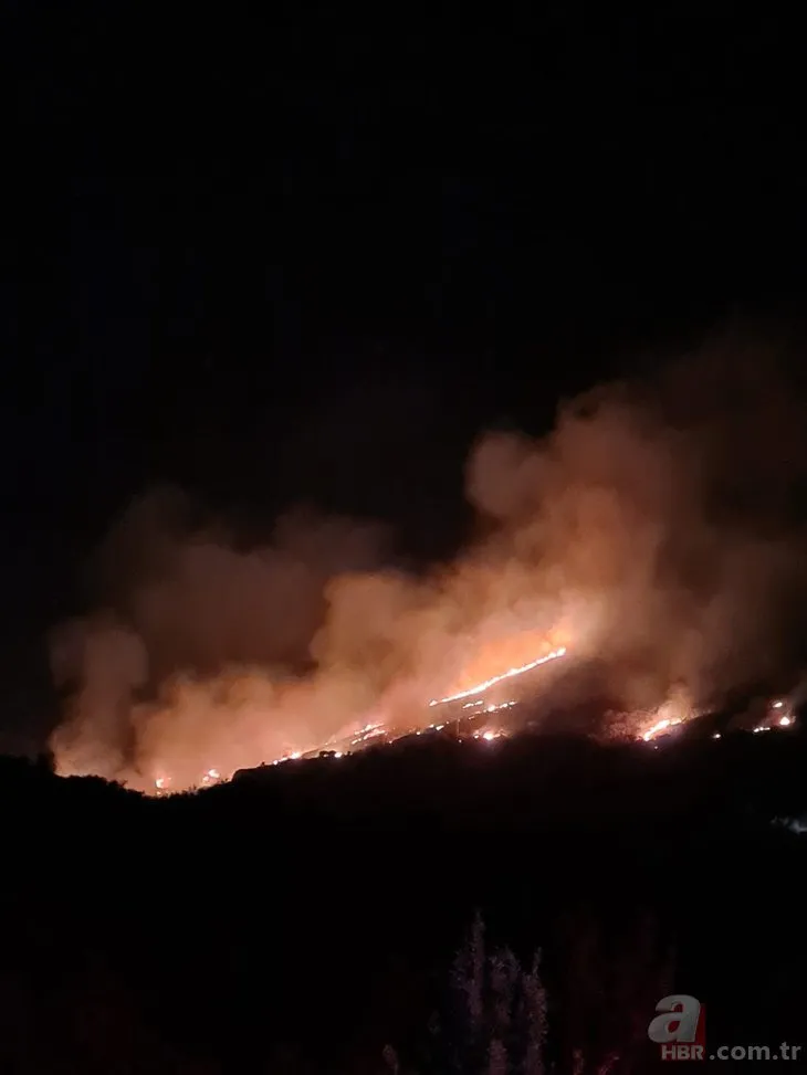 SON DAKİKA: Turizm cenneti Bodrum’da korkutan yangın!