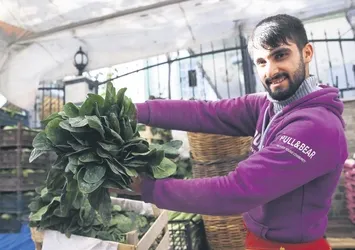 Yeşillik alarmı!