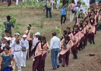 Hindistan'da 12 saatte 66 milyon ağaç dikildi