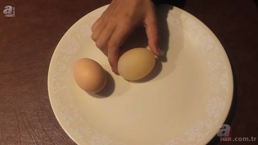 Beslediği tavuğun yumurtasını almak için kümese girdi! Yumurtayı eline alınca gözlerine inanamadı 16