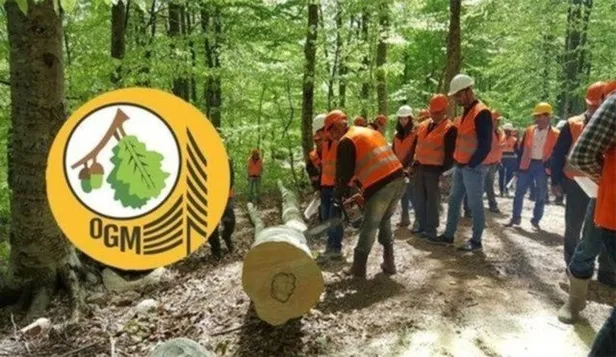 Tarım ve Orman Bakanlığı personel alımı ne zaman yapılacak? 2022 OGM ve DSİ personel alımı başvuru şartları ve kontenjanları açıklandı mı? - 3