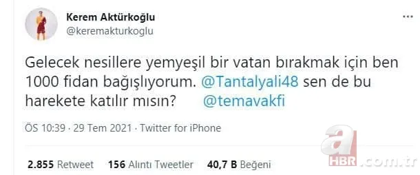 Türkiye yangına karşı tek yürek: Ünlü isimler de destek veriyor! Ormanlara ağaç dikilmesi için büyük kampanya başladı 10