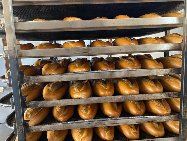 Son dakika | Ekmeğe zam gelecek mi? Bakan Kirişci açıkladı