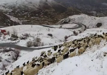 Hakkari'de kar yağışı