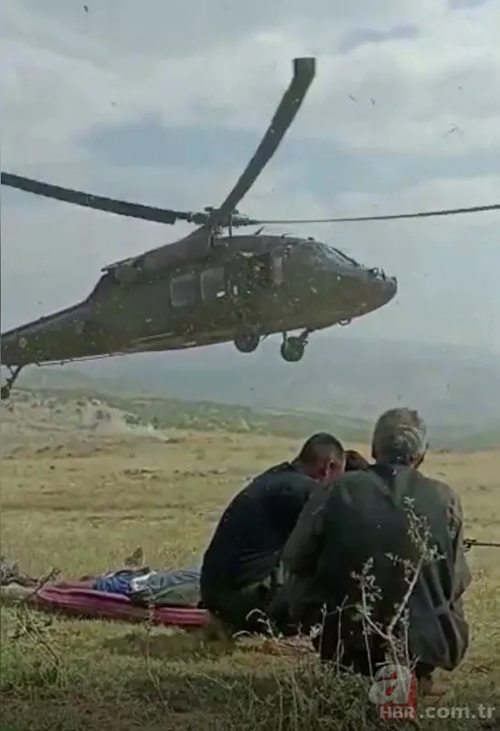 Siirt'te korkunç olay! Hayvanları otlatan çobana yaban domuzları saldırdı 2