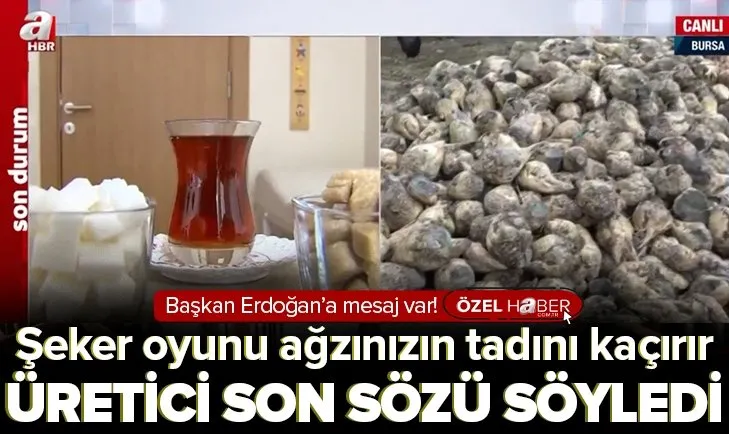 Bursa Ziraat Odası Başkanı Sadi Aktaş: Kıtlık varmış gibi zam yapanlar var