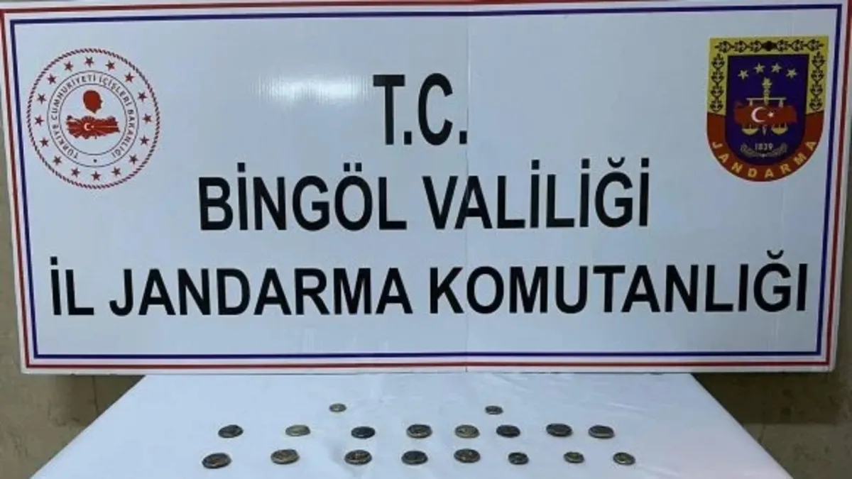 Bingöl'de 45 sikke ele geçirildi