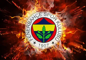 Boris Rapaic, Fenerbahçe'ye transfer oldu
