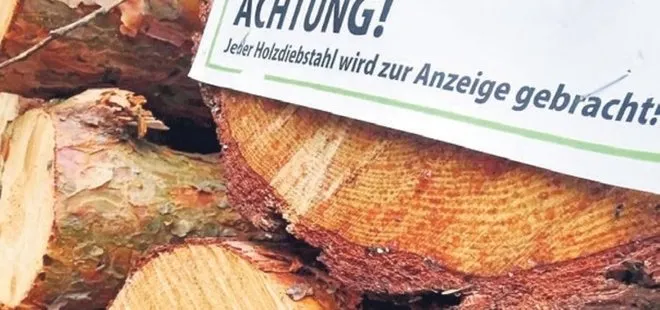 Almanya’da ’odun’ savaşları! Enerji faturası hırsızlığı patlattı