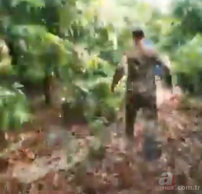 Anakonda ormanda insana saldırdı 🐍 Tam mağaraya götürürken... 9