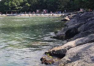 Japon araştırmacıların radarında: Giresun'da taşların arasından çıkan şifa, birçok derde deva!