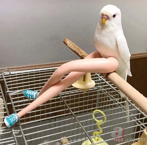 Anlamsız fotoğraflar 23