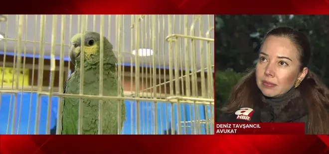 Hayvan hakları yasası değişiyor