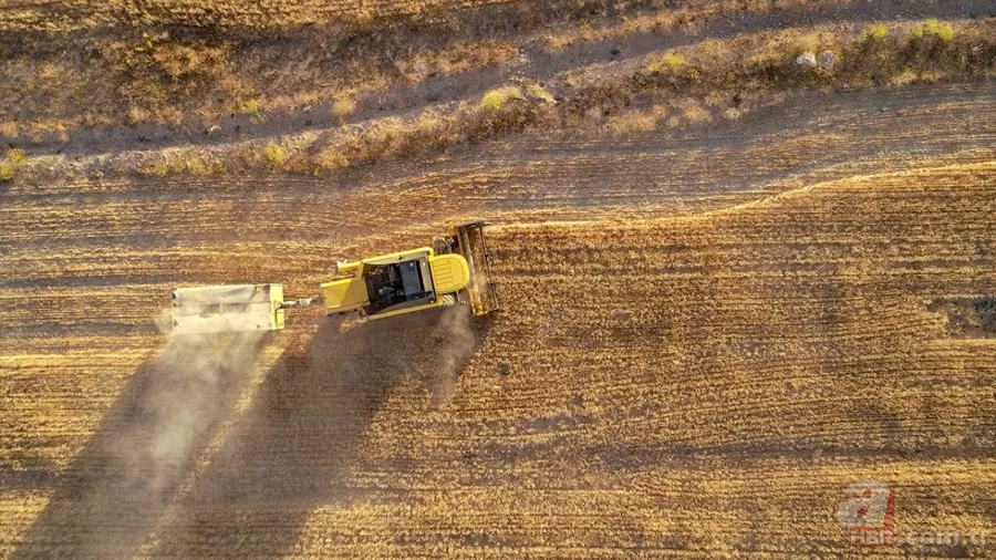 Van'da hububat üretiminde yüzde 75 artış! Sertifikalı tohumla ekim yapılıyor 2